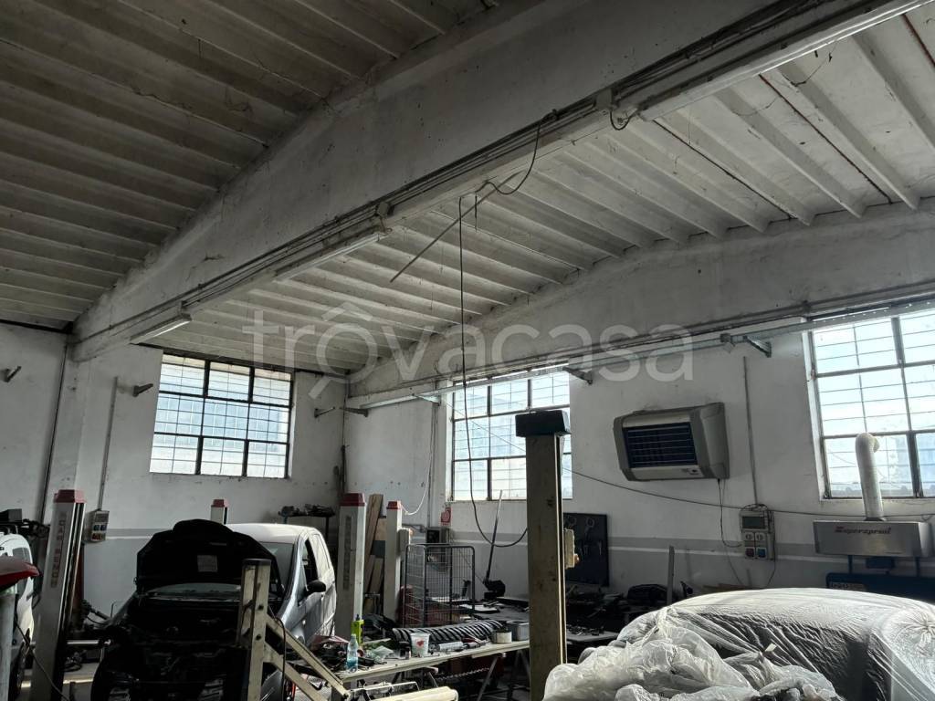 immagine annuncio 9 di 15