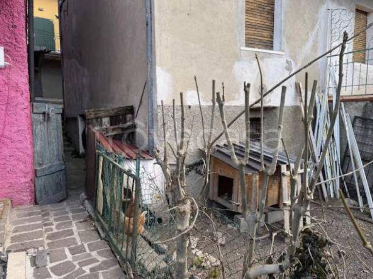 immagine annuncio 3 di 12