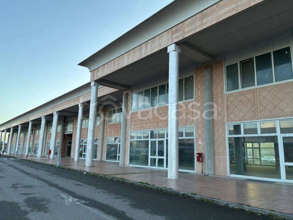 immagine annuncio 3 di 13