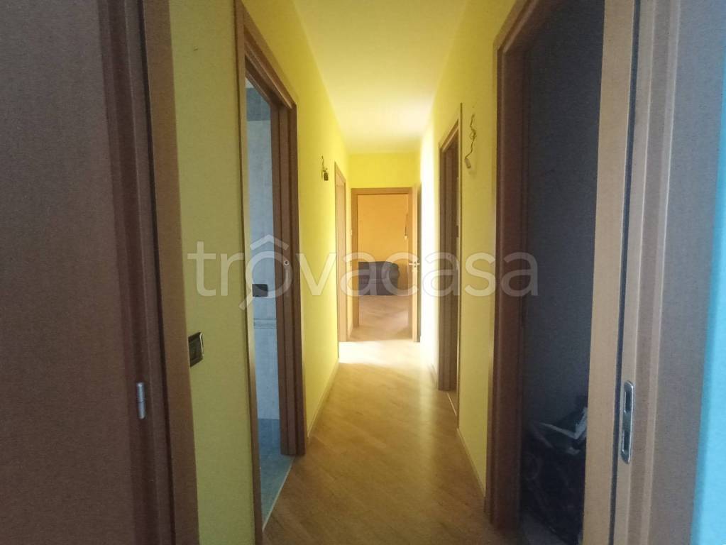 immagine annuncio 6 di 14