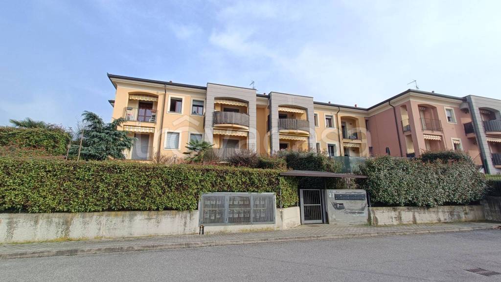 immagine annuncio 1 di 15