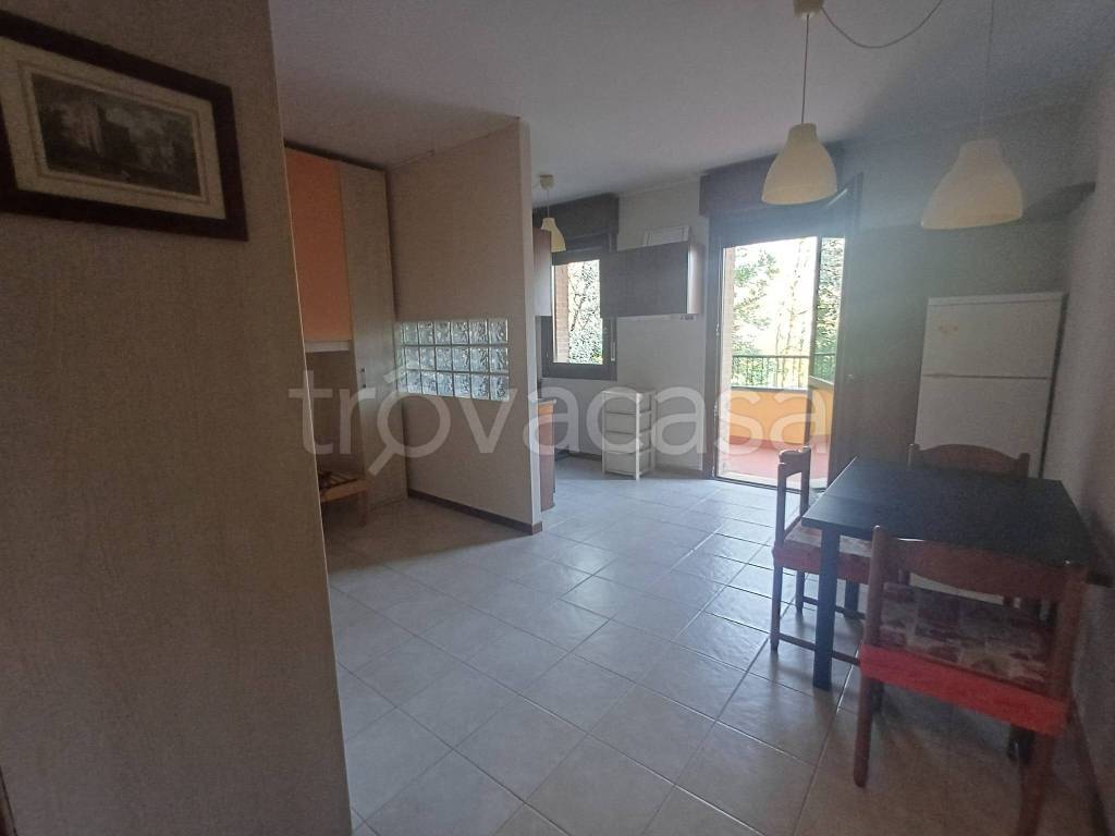 immagine annuncio 6 di 12