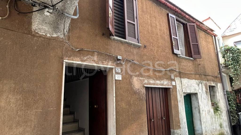 immagine annuncio 4 di 7