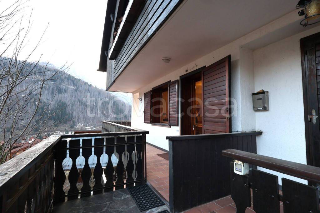 immagine annuncio 9 di 13