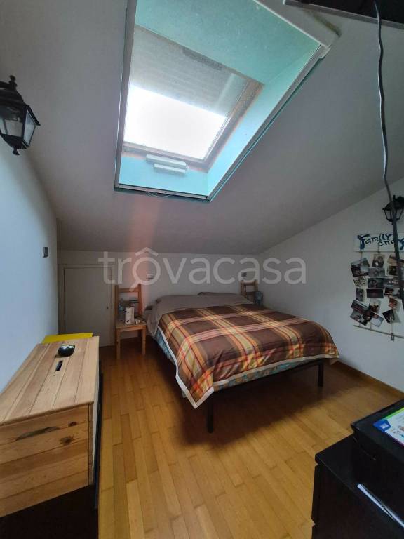 immagine annuncio 9 di 14