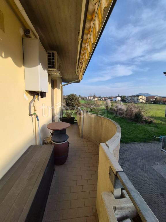 immagine annuncio 12 di 14