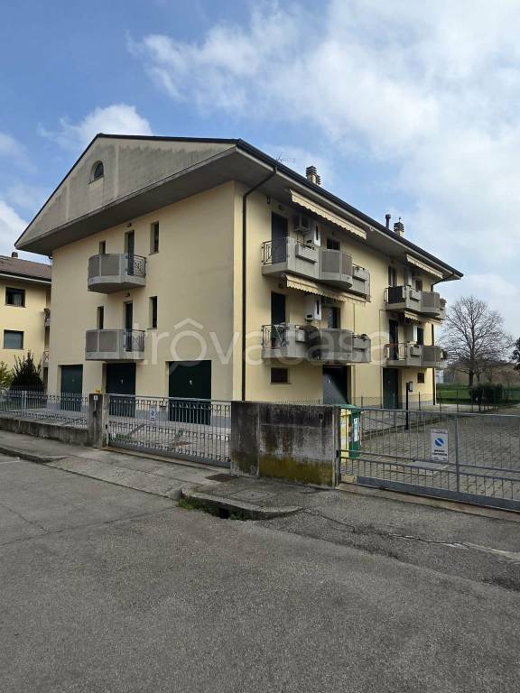 immagine annuncio 13 di 14