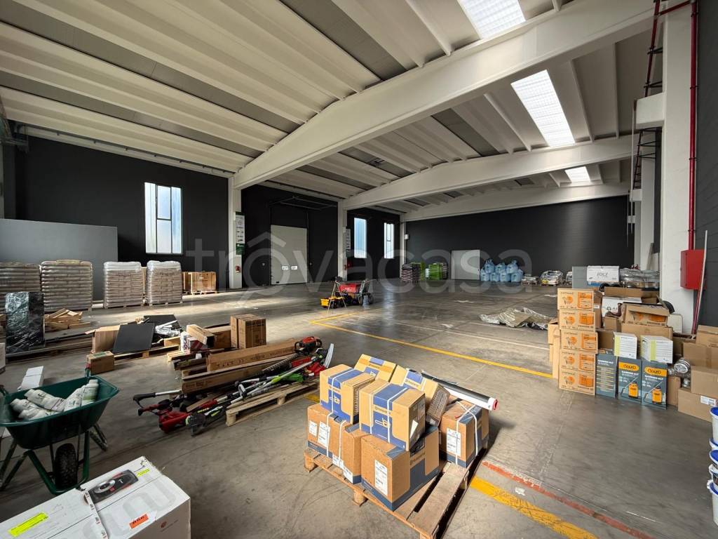 immagine annuncio 4 di 15