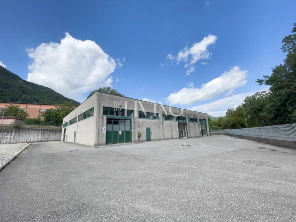 immagine annuncio 1 di 14
