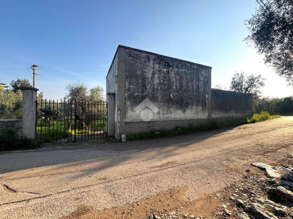 immagine annuncio 1 di 8