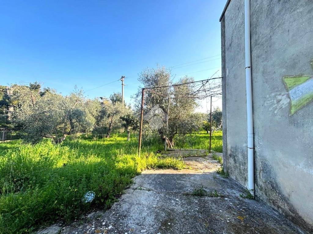 immagine annuncio 5 di 8