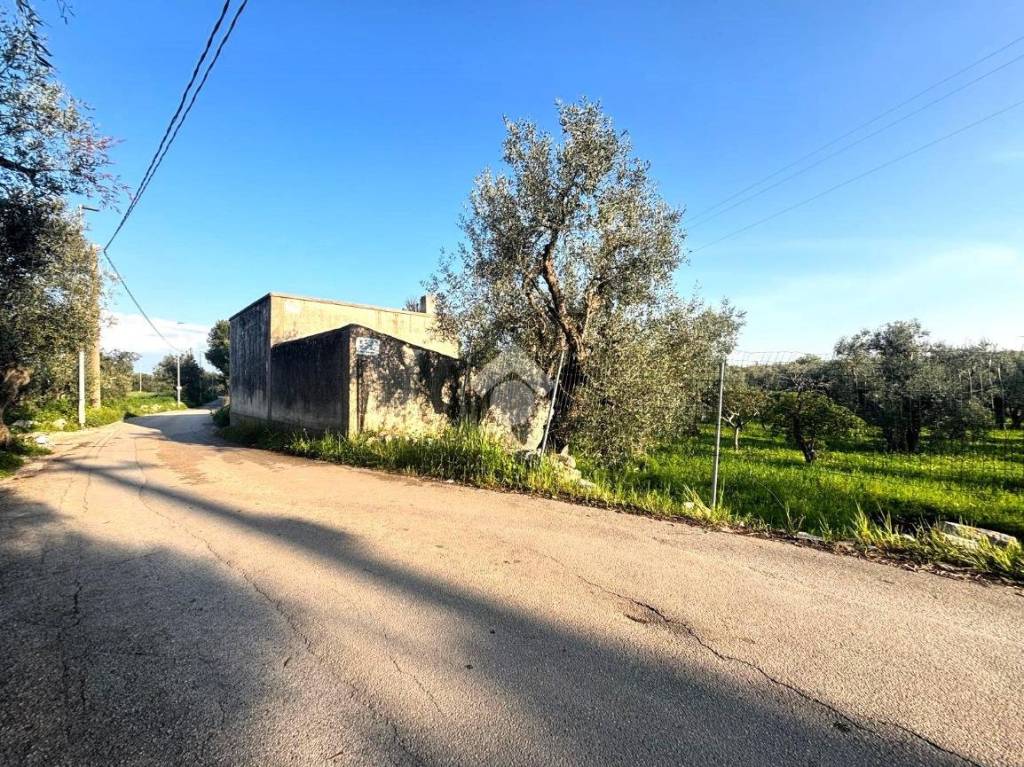 immagine annuncio 6 di 8