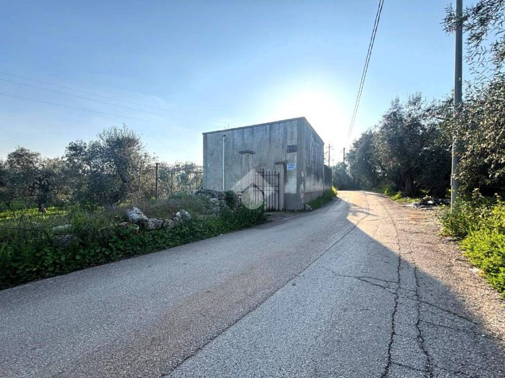 immagine annuncio 7 di 8