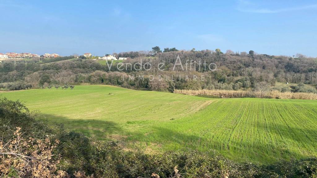 immagine annuncio 1 di 2