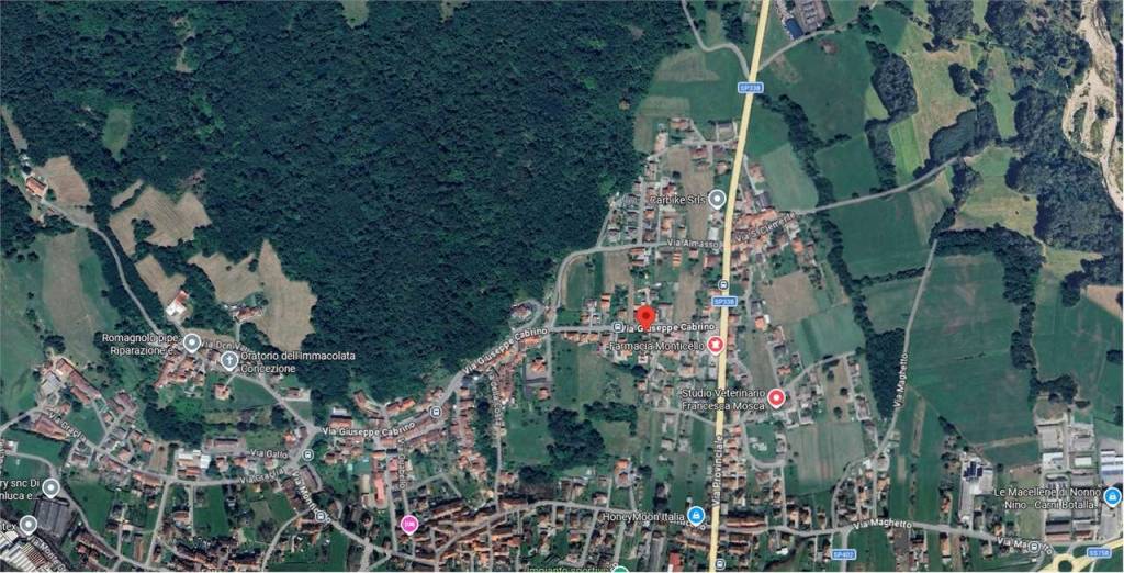 immagine annuncio 3 di 11