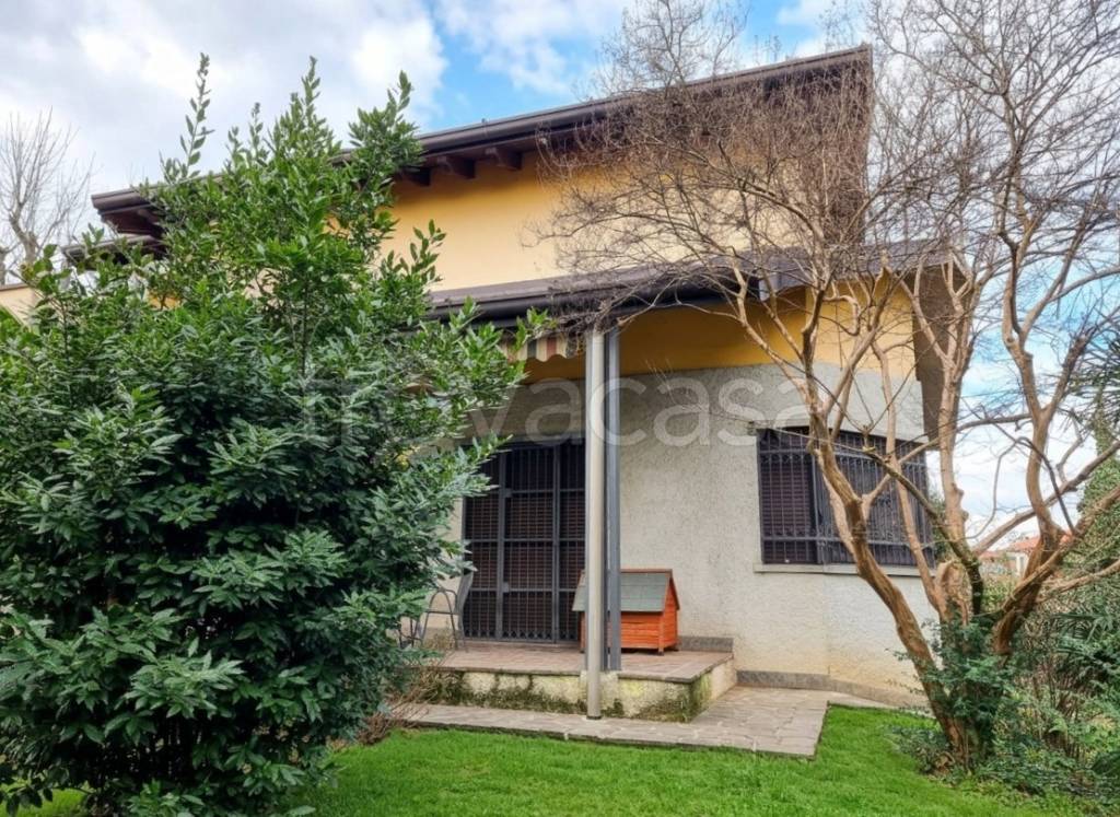 immagine annuncio 14 di 15