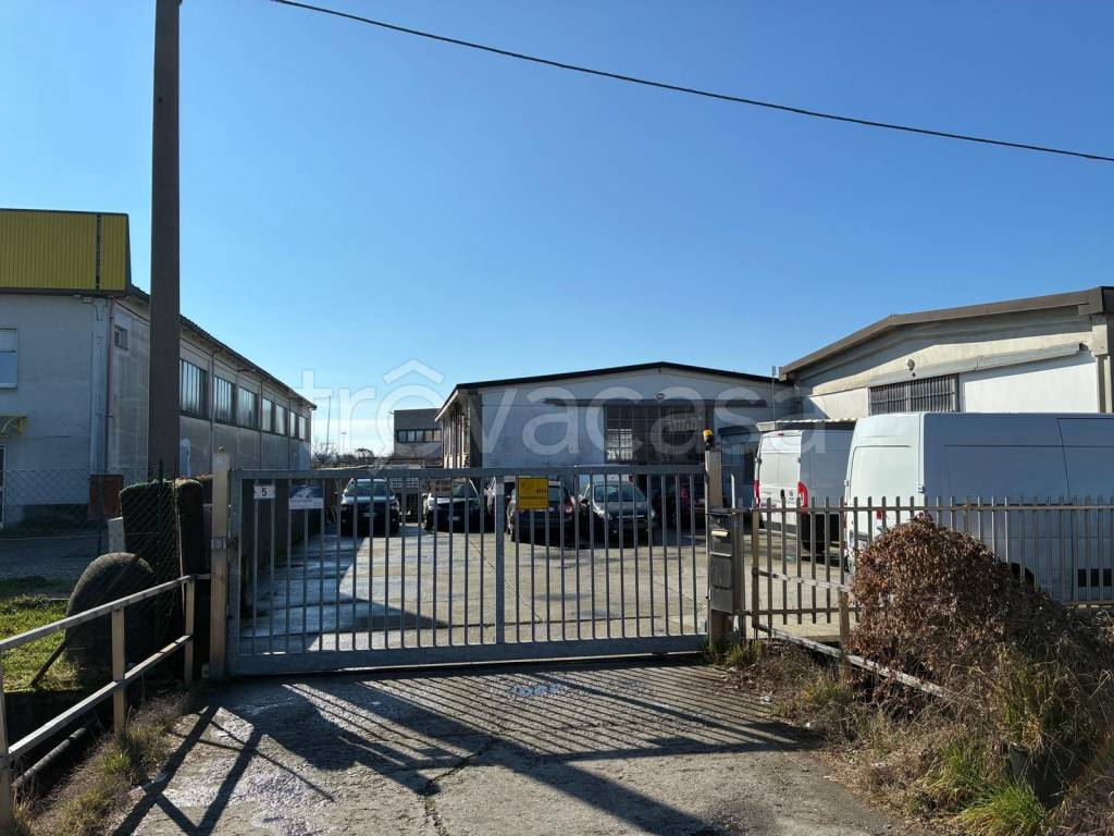 immagine annuncio 4 di 15