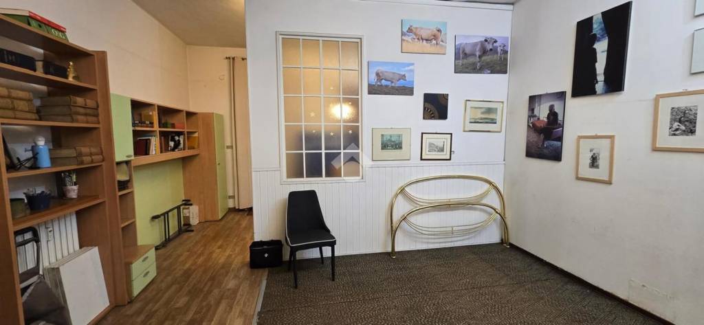 immagine annuncio 3 di 14