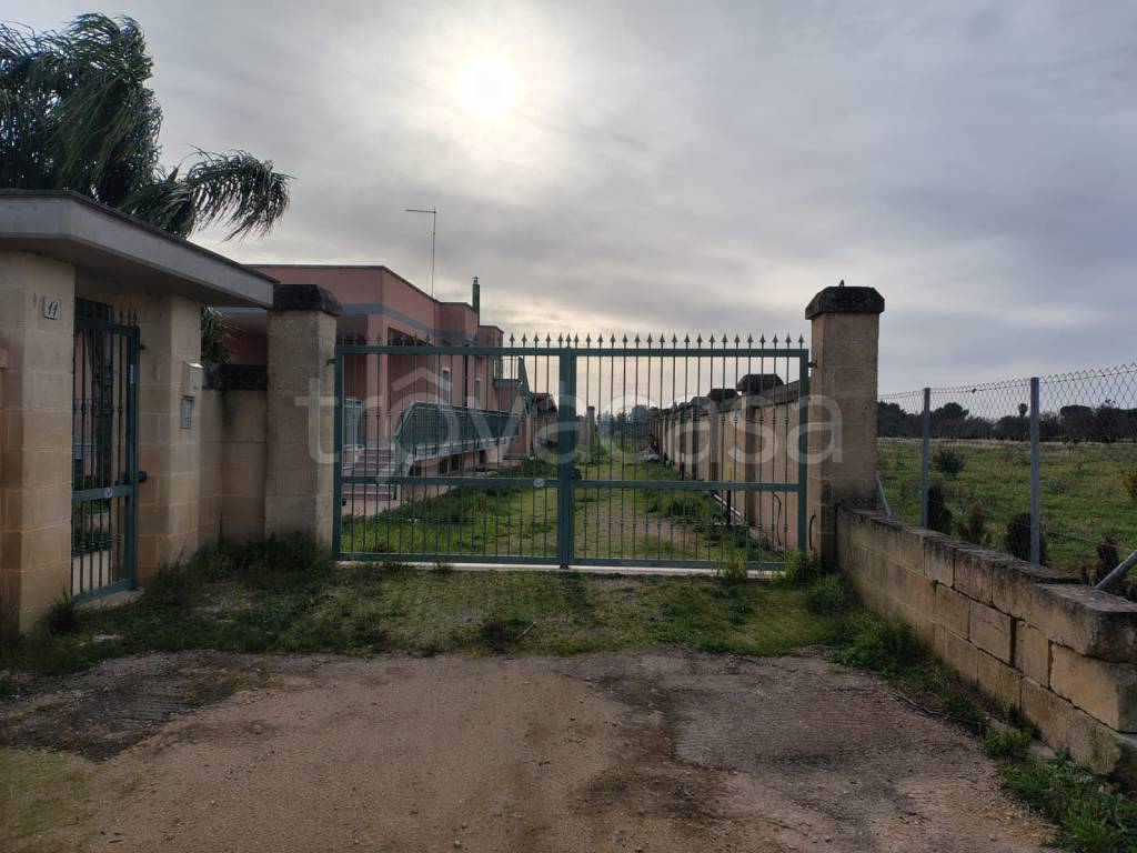 immagine annuncio 12 di 15