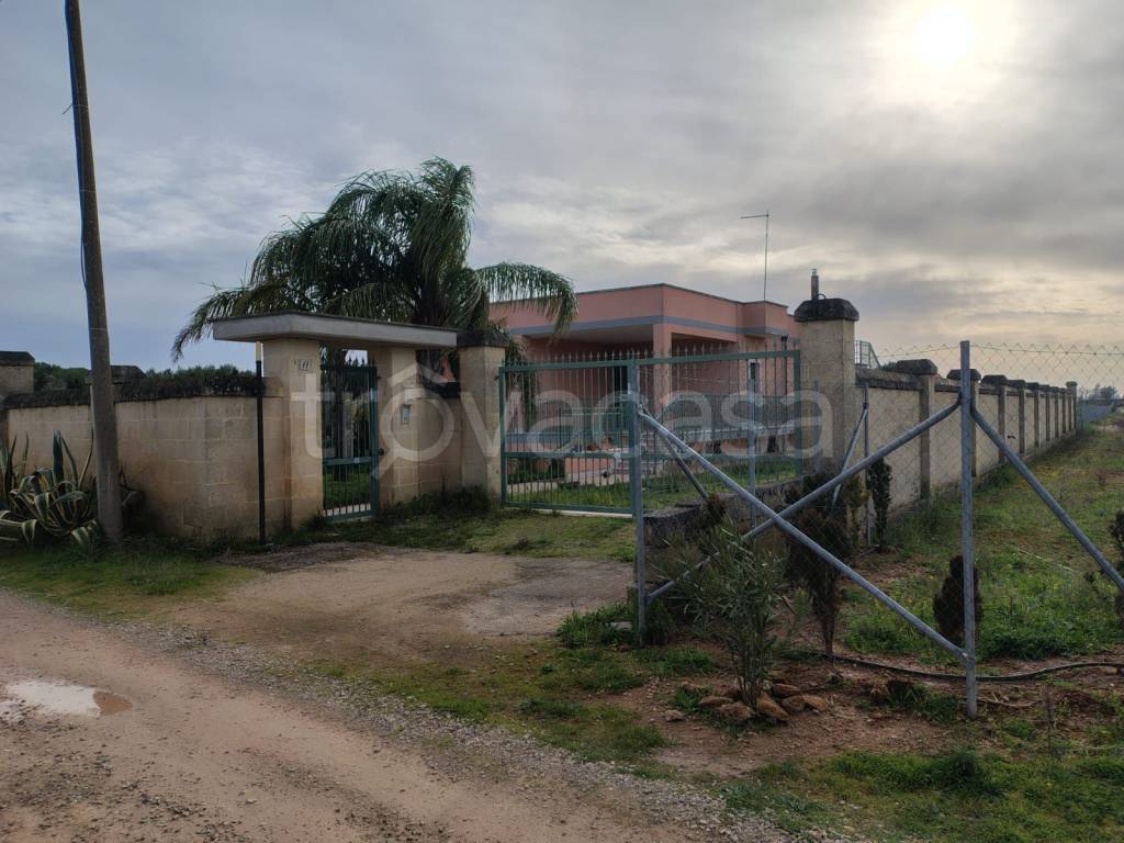 immagine annuncio 11 di 15