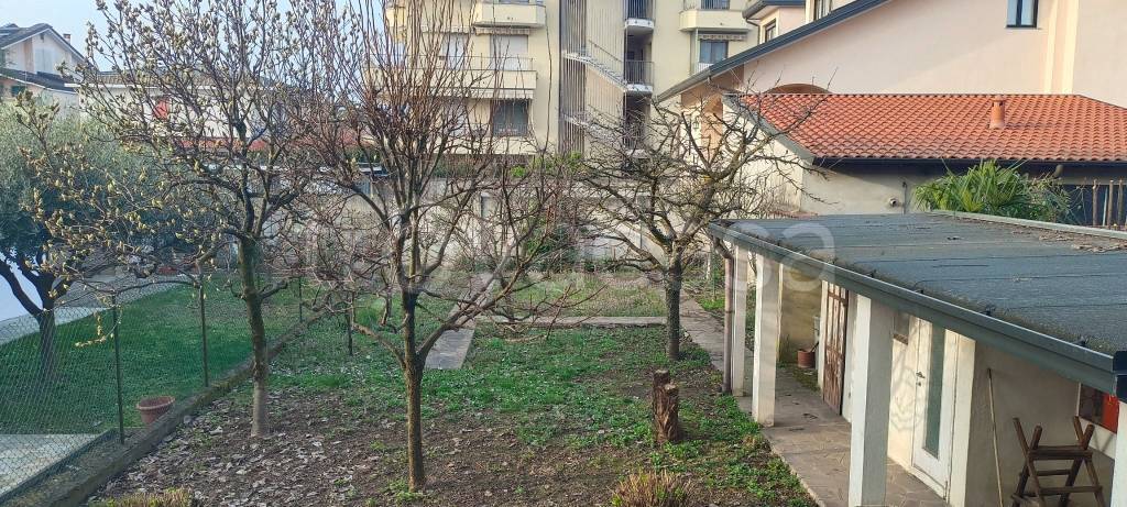 immagine annuncio 1 di 12