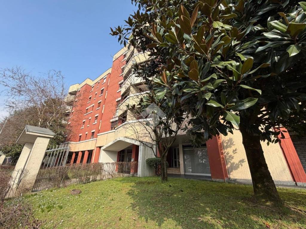 immagine annuncio 10 di 12