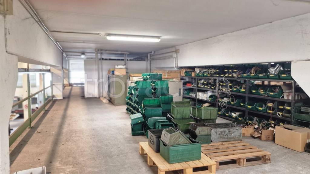 immagine annuncio 5 di 15