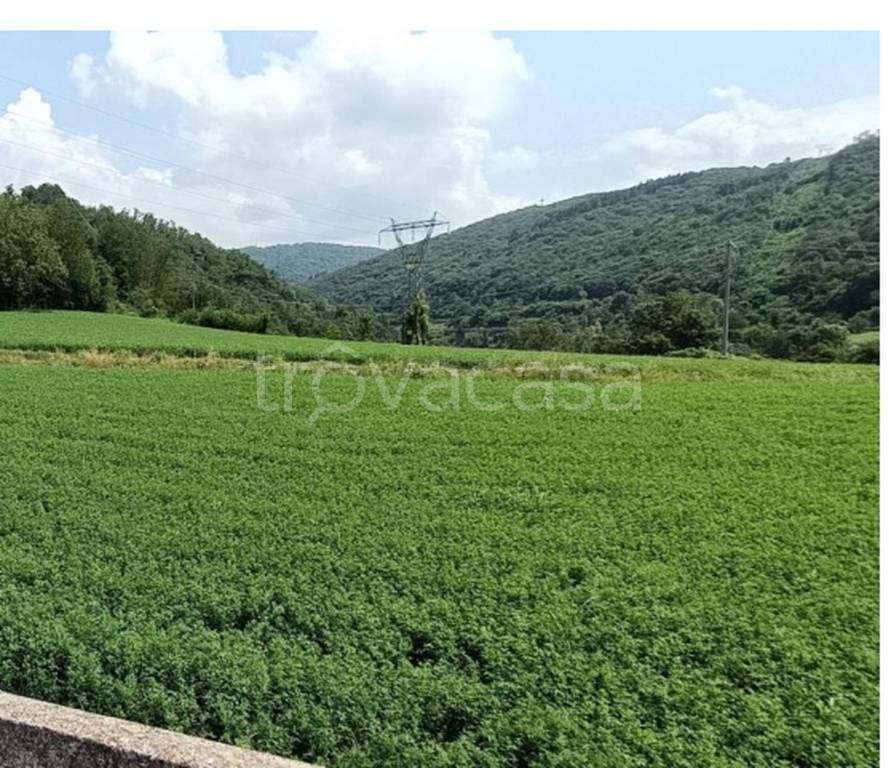 immagine annuncio 5 di 9