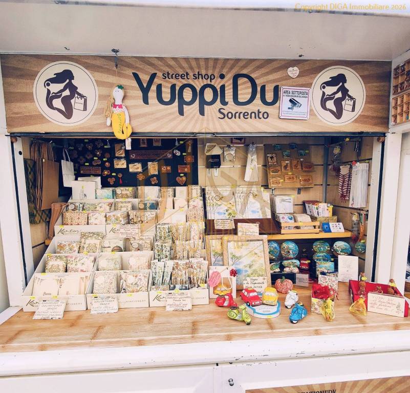 immagine annuncio 4 di 13