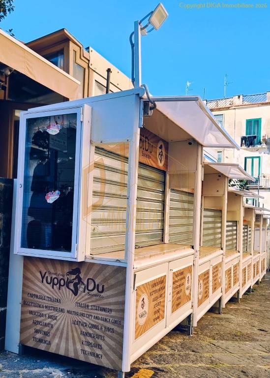 immagine annuncio 12 di 13