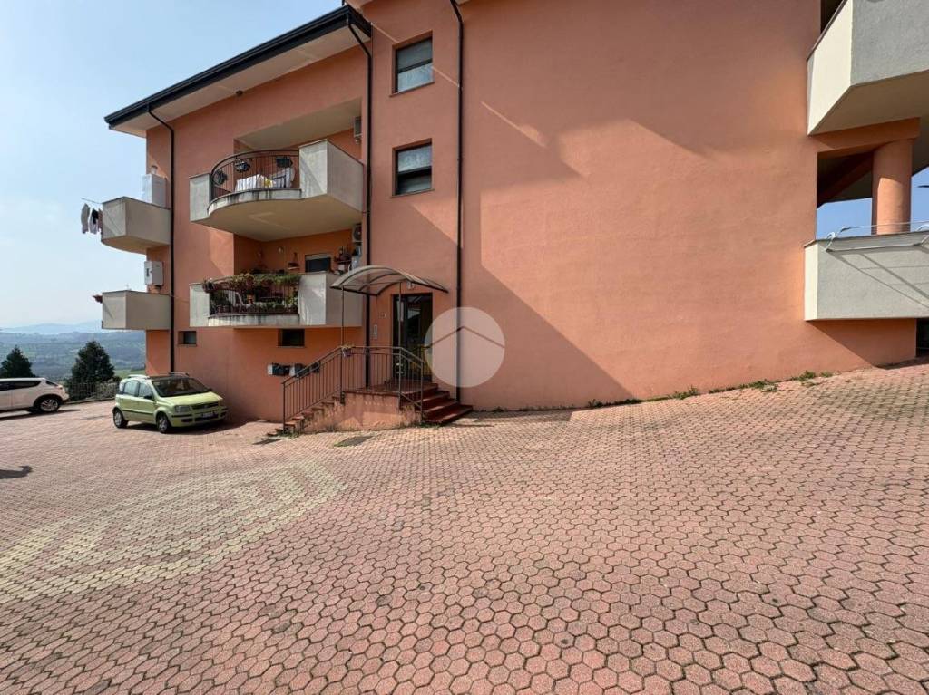 immagine annuncio 7 di 15