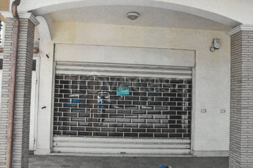 immagine annuncio 2 di 11