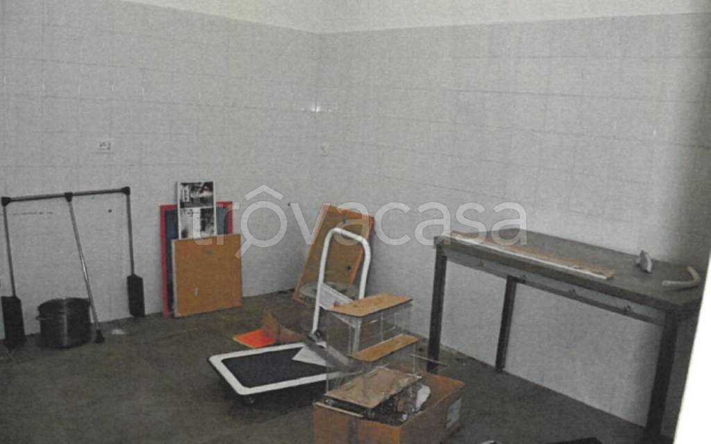 immagine annuncio 9 di 11