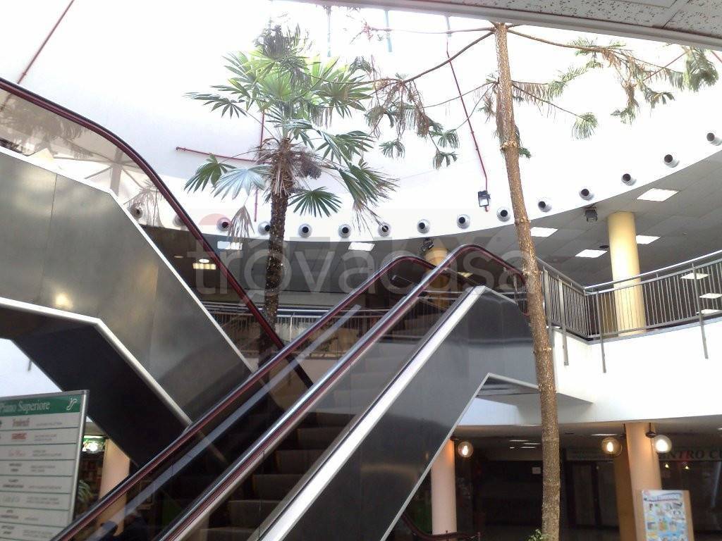 immagine annuncio 3 di 7