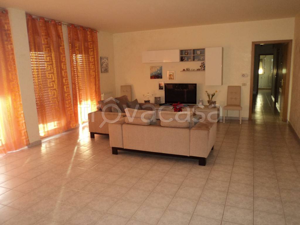 immagine annuncio 8 di 12