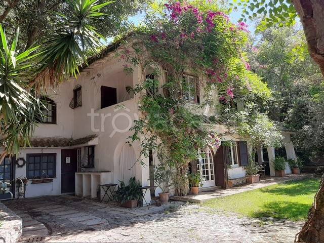 immagine annuncio 4 di 12