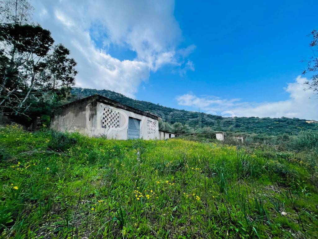 immagine annuncio 3 di 7