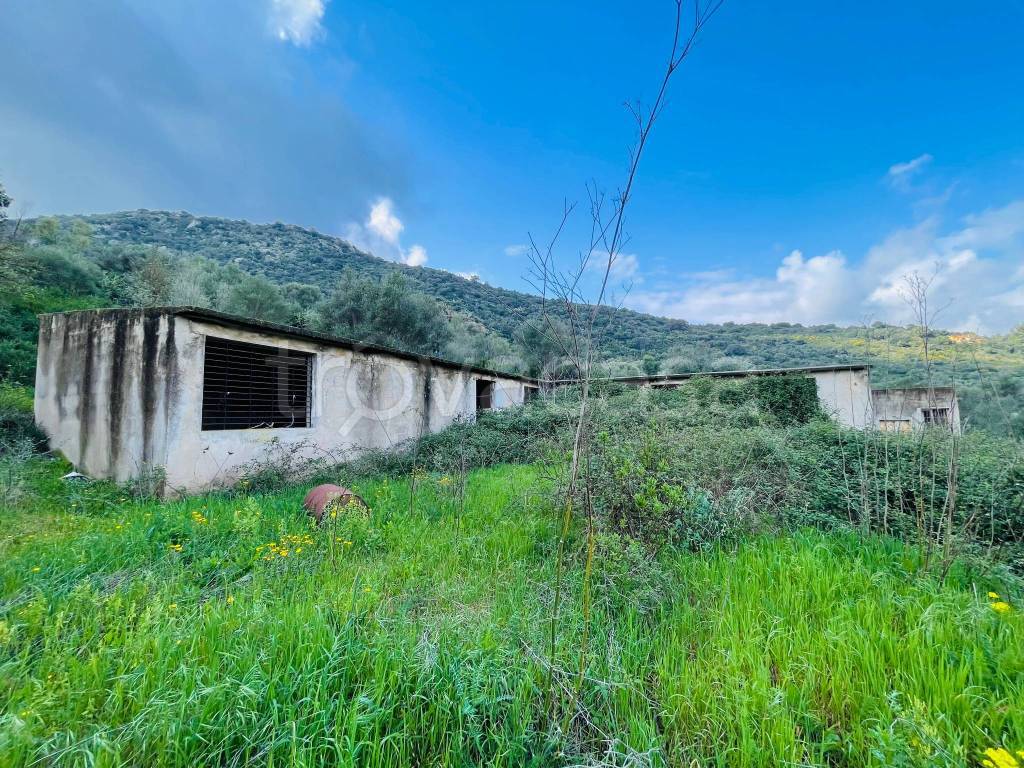 immagine annuncio 4 di 7