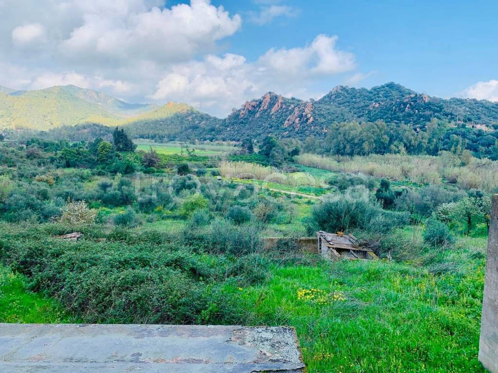 immagine annuncio 6 di 7