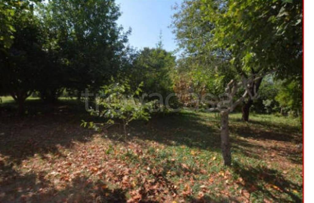 immagine annuncio 5 di 12