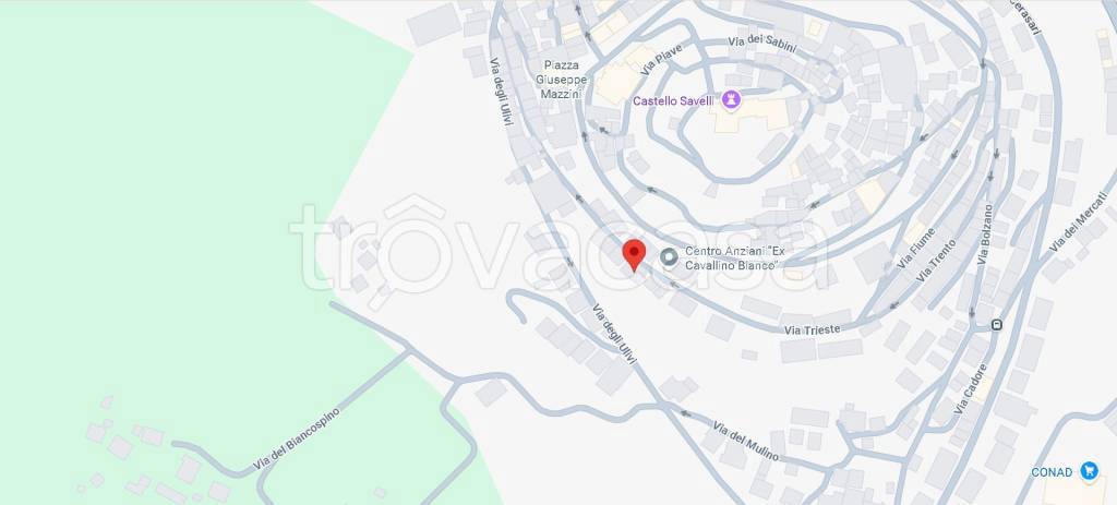 immagine annuncio 10 di 11