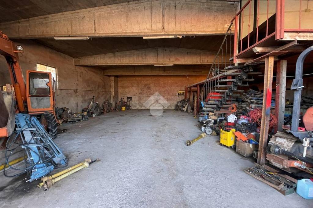 immagine annuncio 3 di 6