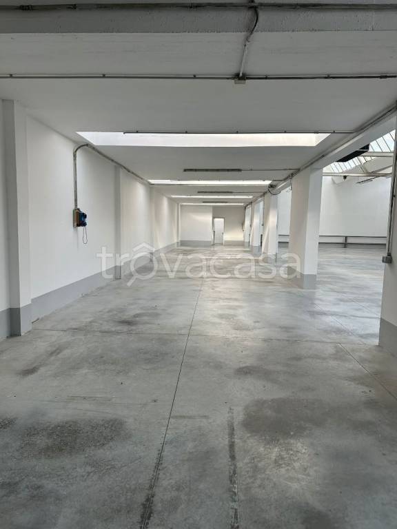 immagine annuncio 2 di 6