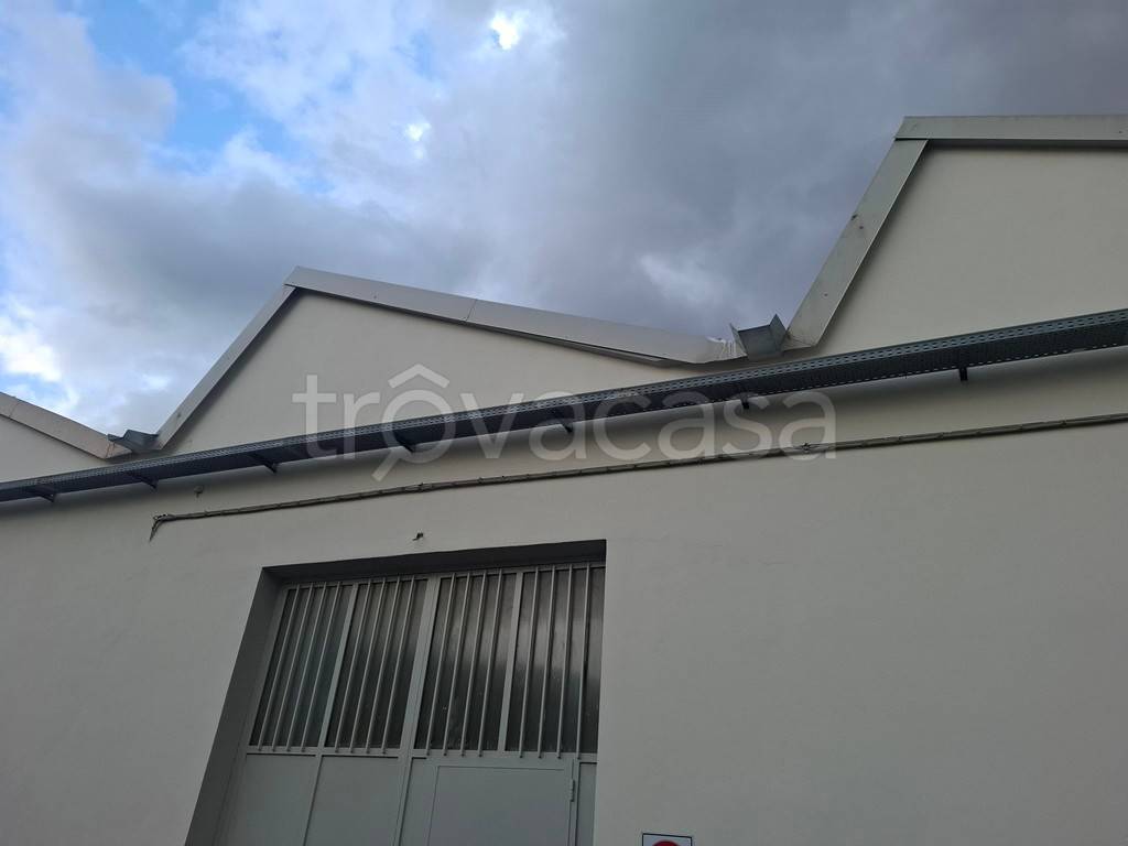 immagine annuncio 1 di 6