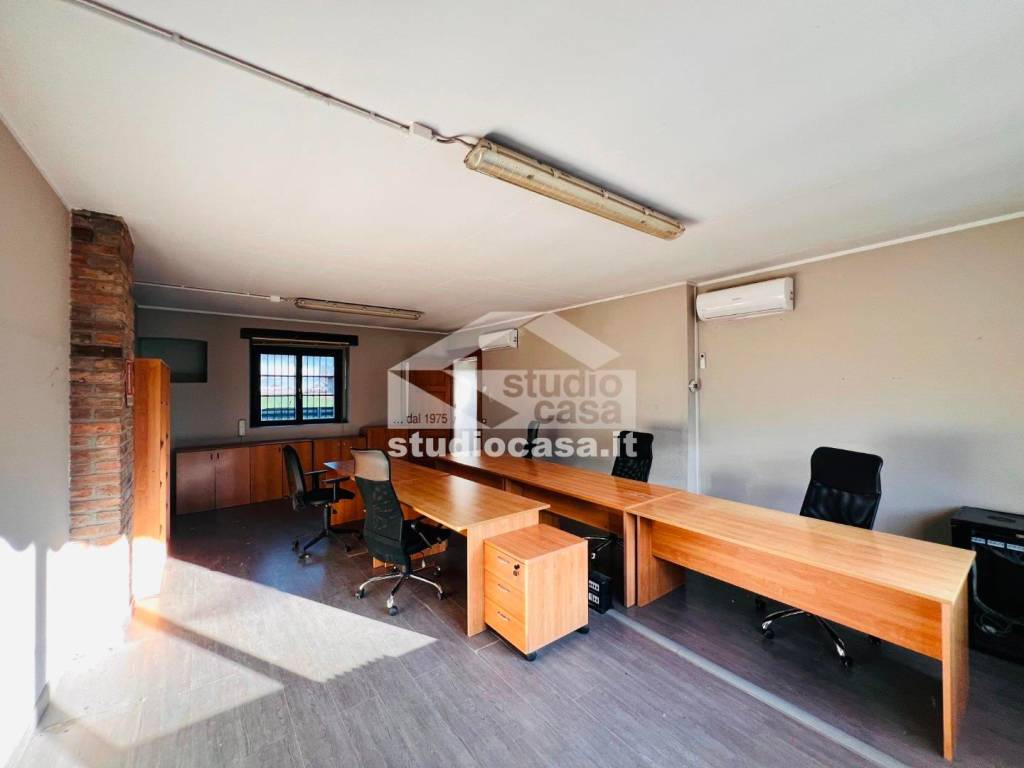 immagine annuncio 6 di 13