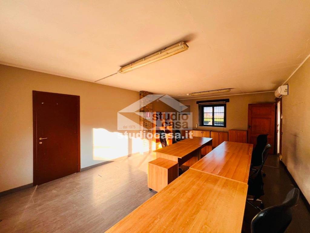 immagine annuncio 7 di 13