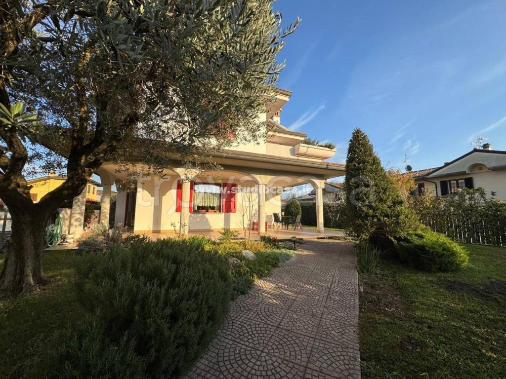 immagine annuncio 3 di 15