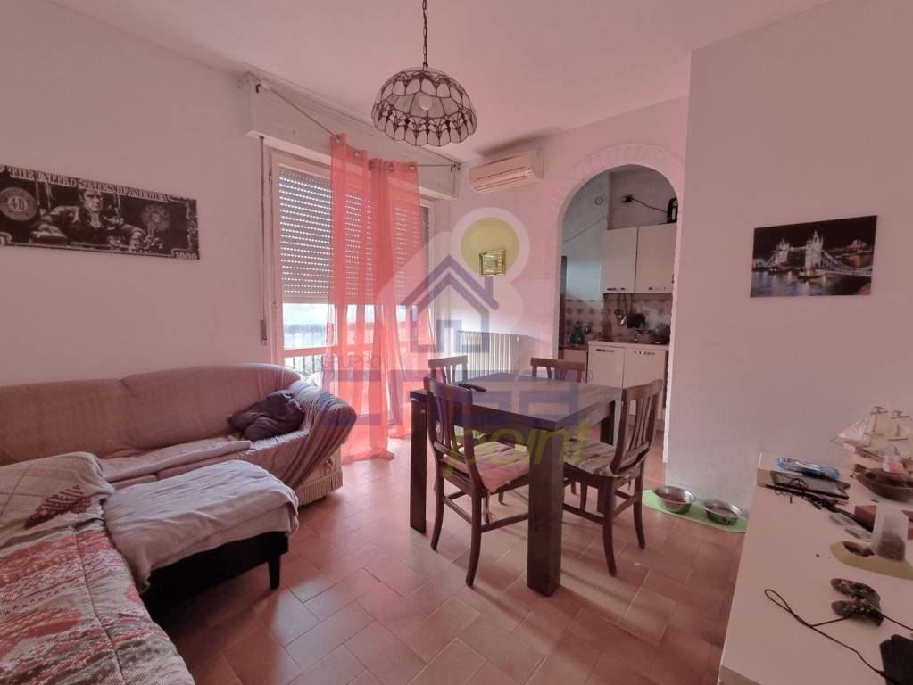 immagine annuncio 1 di 14