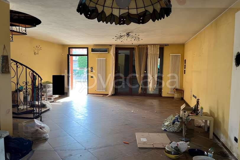 immagine annuncio 3 di 12