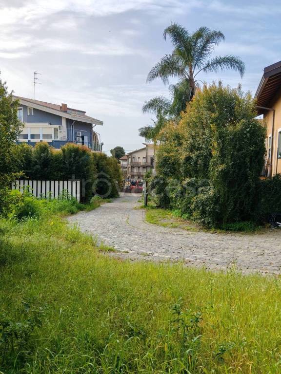 immagine annuncio 12 di 13